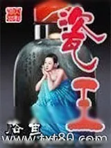 《瓷王》小说封面
