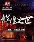 《辉煌之世》小说封面