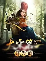 《大宋第一开发商》小说封面