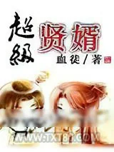 《超级贤婿》小说封面