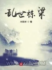 《乱世栋梁》小说封面