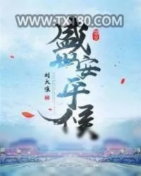 《盛世安平侯》小说封面