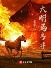 《大明马弓手》小说封面