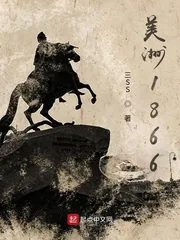 《美洲1866》小说封面