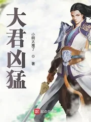 《大君凶猛》小说封面