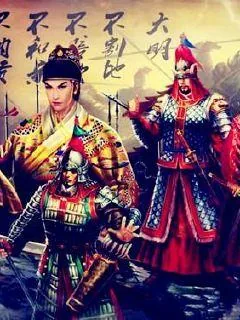 《皇明风云录》小说封面
