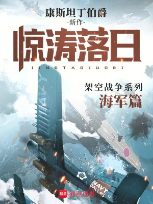 《惊涛落日》小说封面