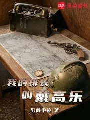 《我的排长戴高乐》小说封面