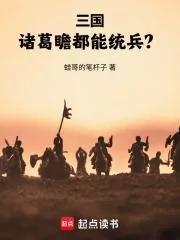 《三国：诸葛瞻都能统兵？》小说封面