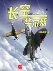 《长空华尔兹》小说封面