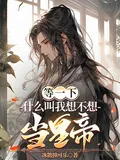 《等一下！什么叫我想不想当皇帝？》小说封面
