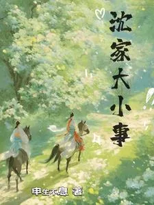 《沈家大小事》小说封面