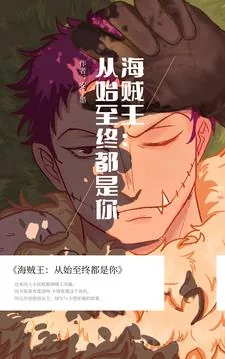 《海贼王：从始至终都是你》小说封面