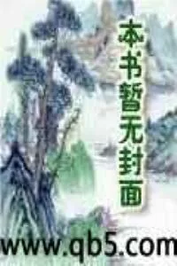 《穿越之情迷异时空》小说封面