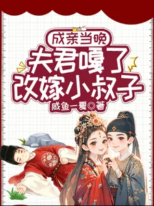 《成亲当晚夫君嘎了，改嫁小叔子》小说封面