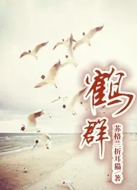 《鹤群》小说封面