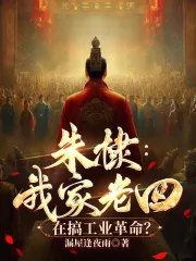 《朱棣：我家老四，在搞工业革命？》小说封面