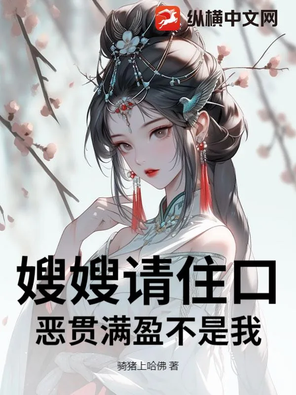 《嫂嫂请住口，恶贯满盈不是我！》小说封面