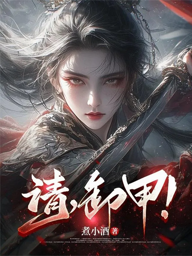 《请，卸甲！》小说封面