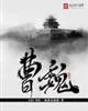 《曹魏》小说封面