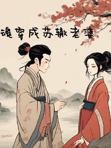 《魂穿成苏辙老婆》小说封面