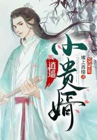 《逍遥小贵婿》小说封面