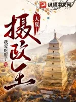 《大夏摄政王》小说封面