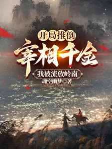 《开局推倒宰相千金，我被流放岭南》小说封面