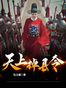 《天上掉县令》小说封面