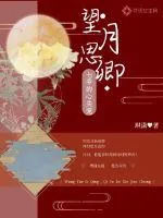 《望月思卿:七爷的心尖宠》小说封面