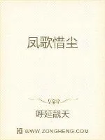 《凤歌惜尘》小说封面