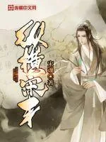 《纵横宋末》小说封面