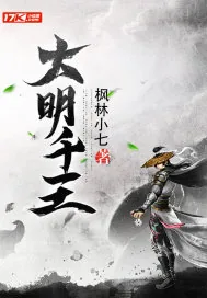 《大明千王》小说封面