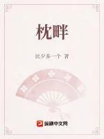 《枕畔泠》小说封面