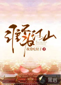 《谁不为江山》小说封面