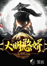 《大明憨婿》小说封面