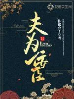 《夫为佞臣》小说封面