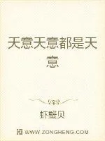 《天意天意都是天意》小说封面