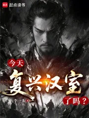 《今天复兴汉室了吗?》小说封面