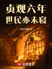 《贞观六年，世民亦未寝》小说封面