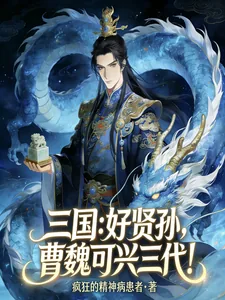 《三国：好贤孙，曹魏可行三代！》小说封面