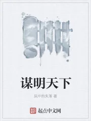 《谋明天下》小说封面