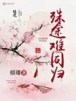 《殊途难同归》小说封面