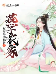 《燕子农家》小说封面