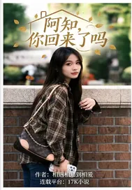 《阿知，你回来了吗》小说封面