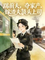 《踹前夫，夺家产，嫁渣夫顶头上司》小说封面
