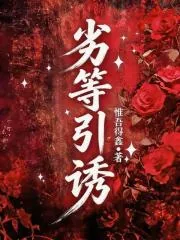 《劣等引诱》小说封面