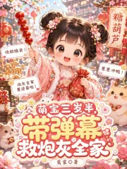 《萌宝三岁半，带弹幕救炮灰全家》小说封面