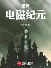 《巫师：电磁纪元》小说封面