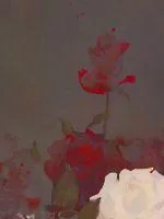 《一慕夕阳》小说封面